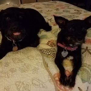 Meet your Posher, Sheila